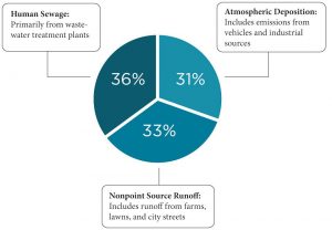 Sources of Nitrogen to Casco Bay