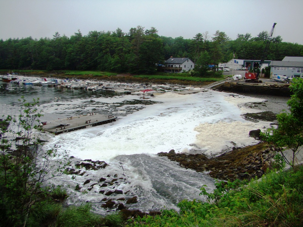 newmeadowsmarina • Friends of Casco Bay