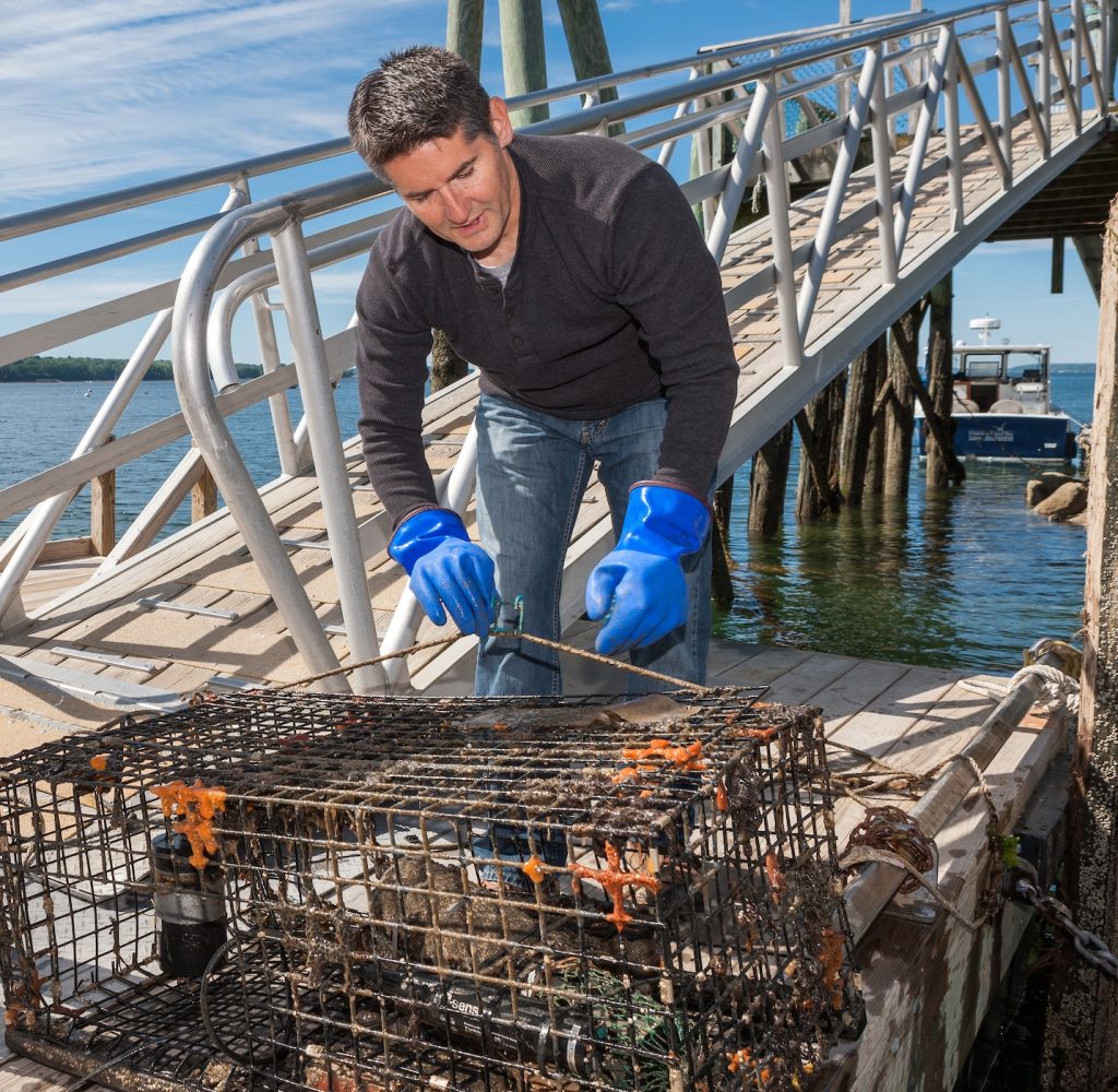Monitoring Casco Bay 24/7