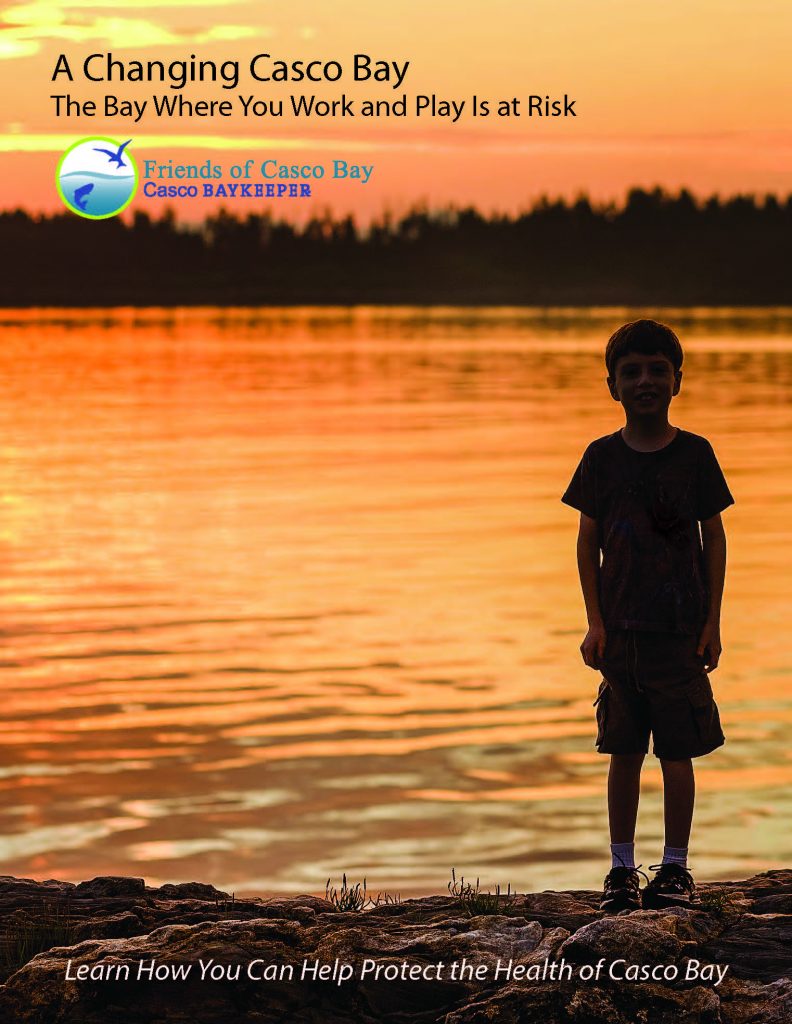 How healthy is Casco Bay?