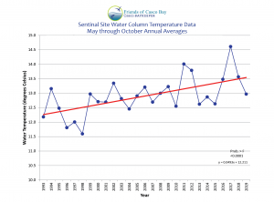 annual temperatures graph 2019