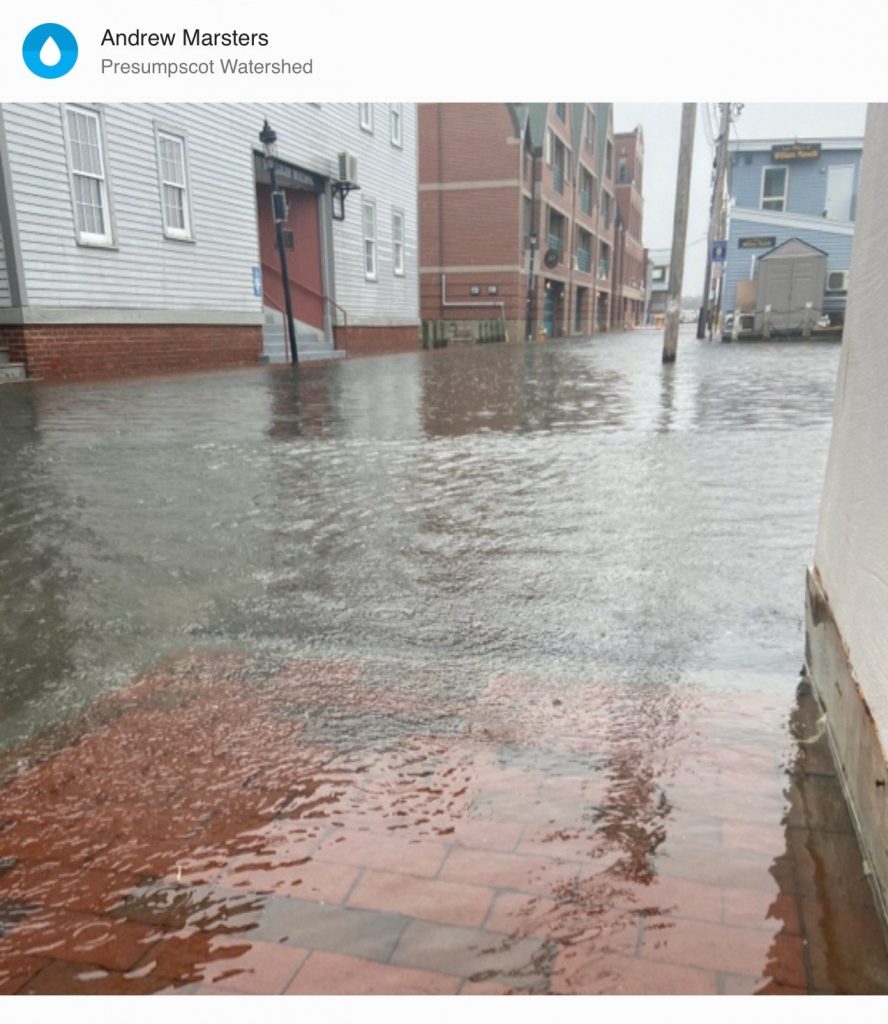 Water Reporter By Sandy Marsters Chandlers Wharf Sea Level Rise