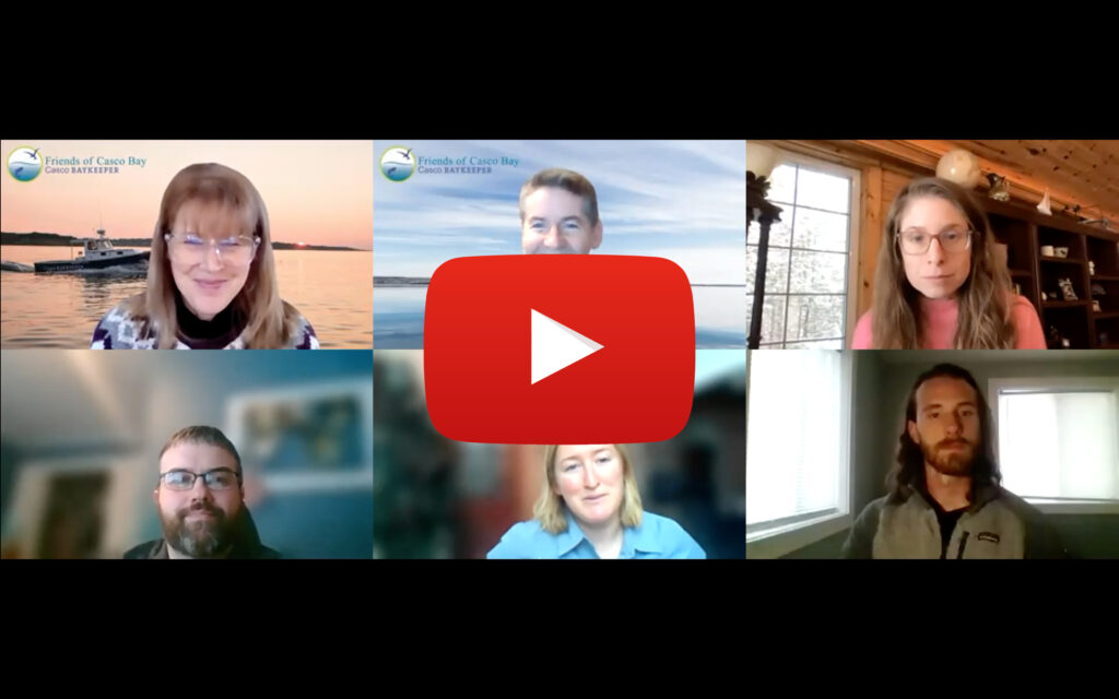 Casco Bay Matters Moves Online