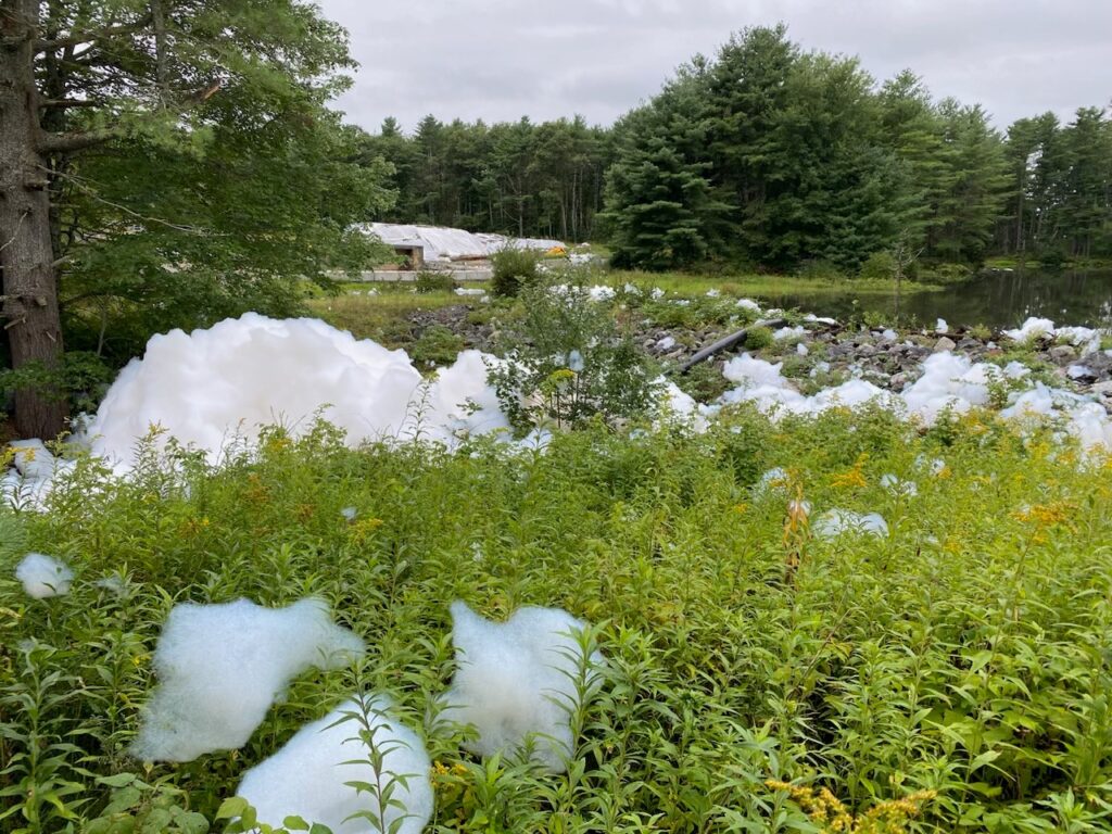 Fluffy white foam sits on meadow with a pond in the distance.