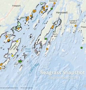 Map of coastline, islands, and peninsulas, with colored dots.