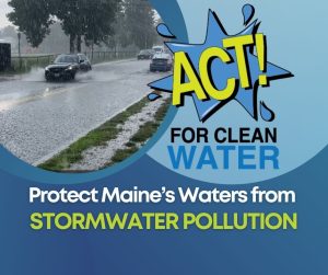 ACT for clean water - stormwater graphic with cars driving through flooded waters