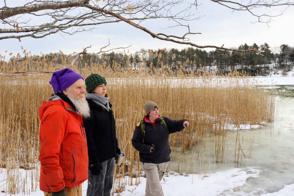 People standing at the edge of a marsh in winter