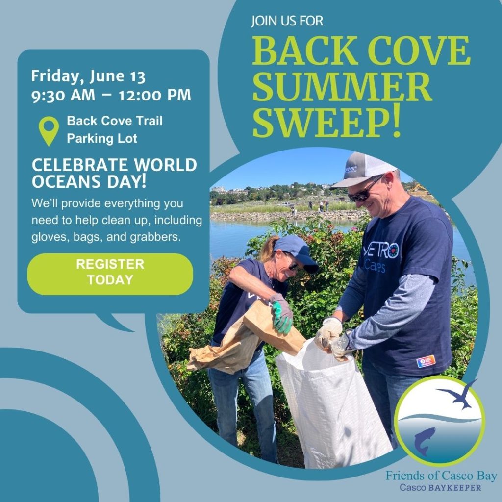 Back Cove Summer Sweep graphic. People picking up trash with water in background
