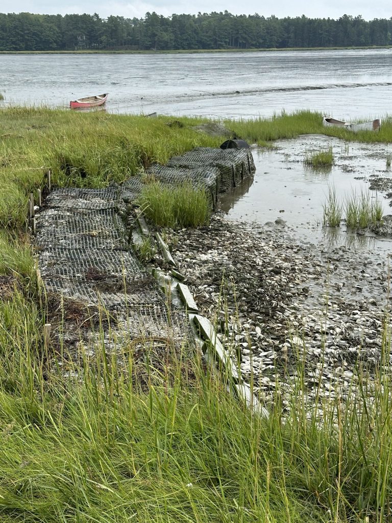 Living Shoreline