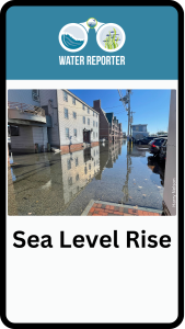 phone case with photo of flooded street