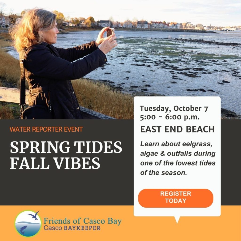 event graphic with woman photographing an algal bloom on her phone.