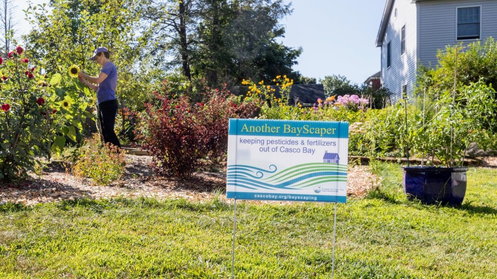 Bayscaping sign in garden