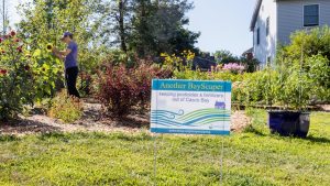 Bayscaping sign in garden