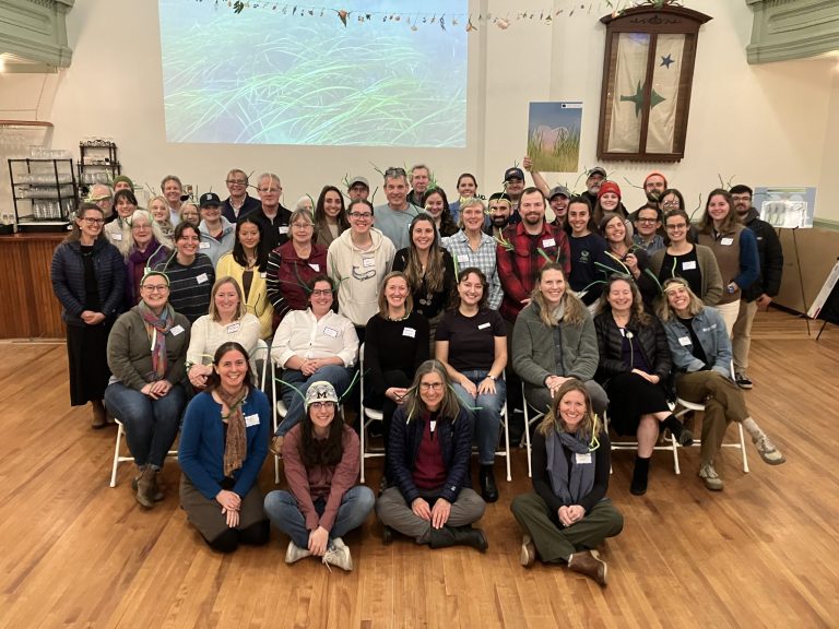 Group photo of people wearnig green pipe cleaners pretending to be an eelgrass meadow.