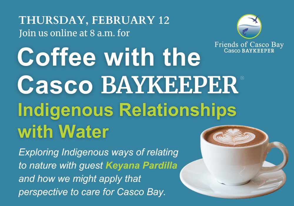 Indigenous Relationships webinar graphic with coffee cup