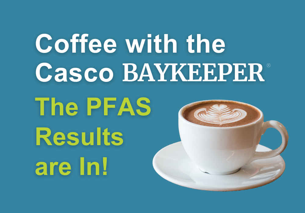 PFAS webinar graphic